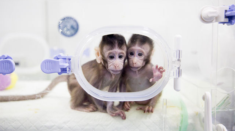 上海寶予德科學儀器有限公司官方網站